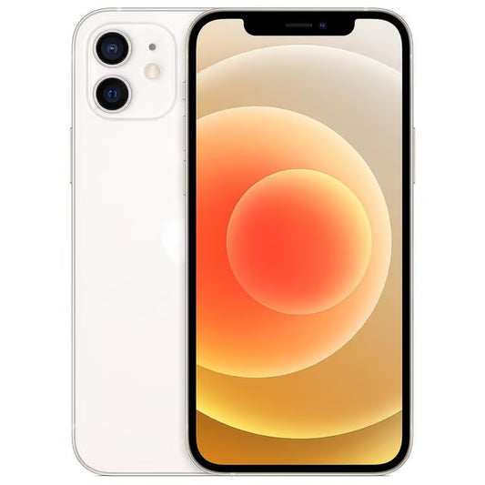 iPhone 12 256GB (Rigenerati)